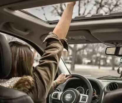 Perception and Risk Management